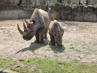 BabyCard vom Zoo （初めての動物園♪）_f0224632_2019950.jpg