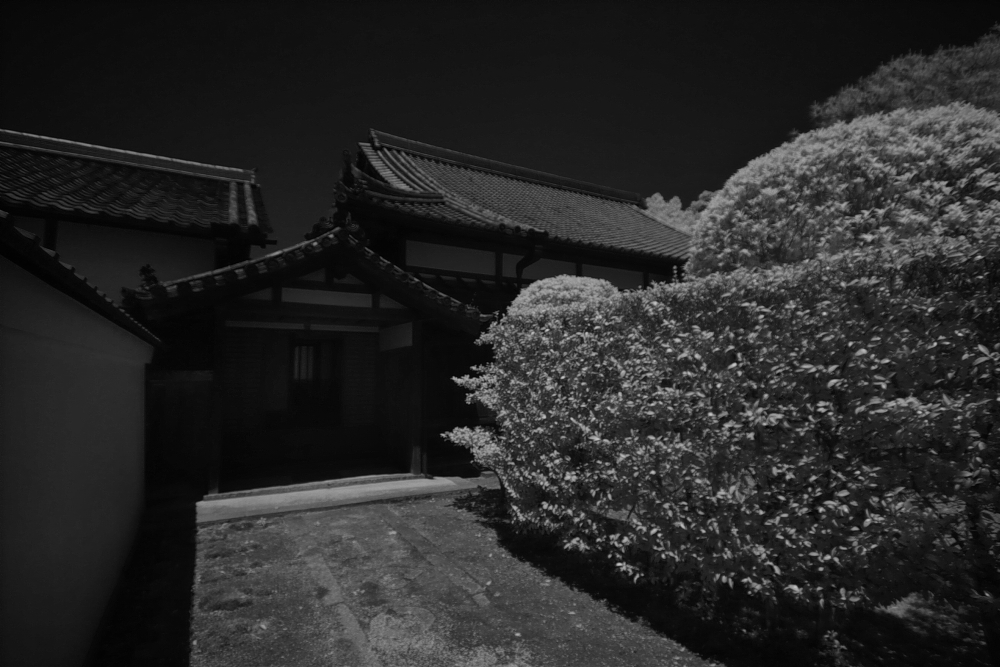 f0178635_2301657.jpg