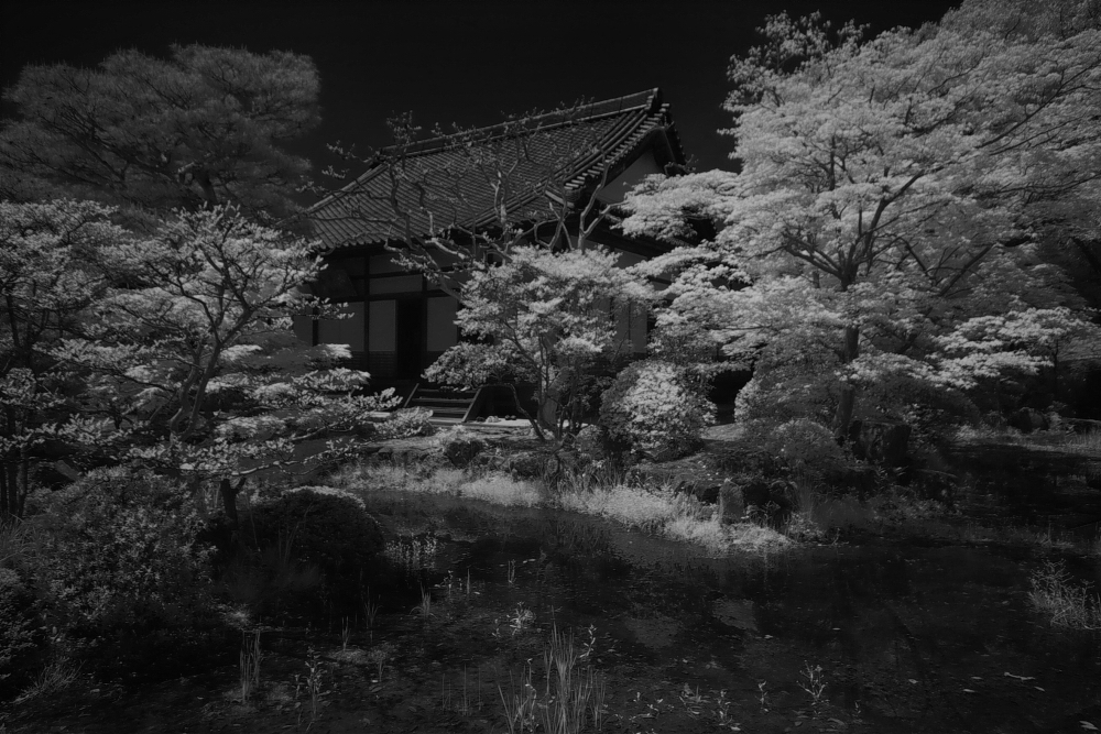 f0178635_2311169.jpg