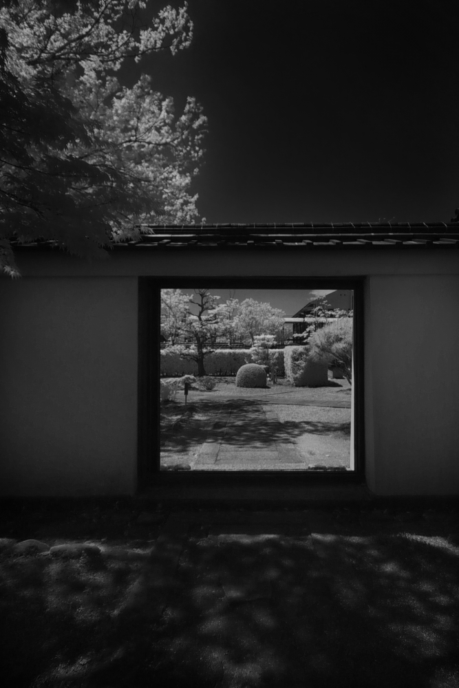 f0178635_23248.jpg