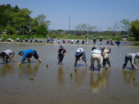 行事　田植え体験をしよう　を実施しました_a0123836_16115185.jpg