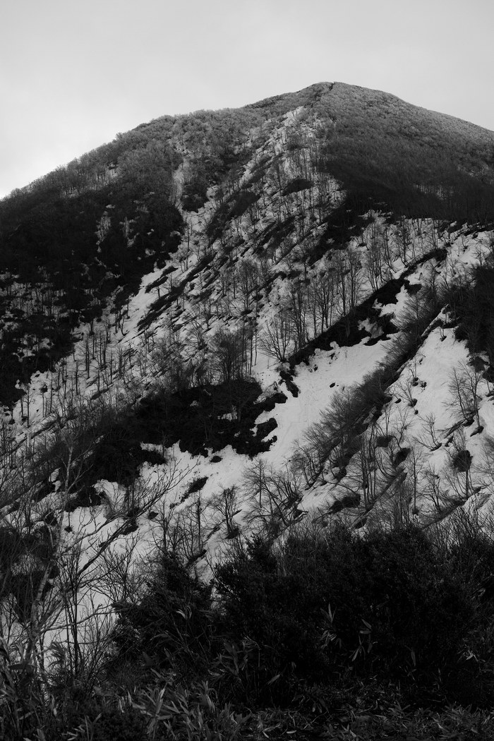 d0237340_197416.jpg