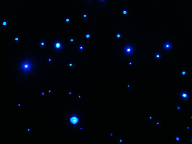e0060041_10494833.jpg