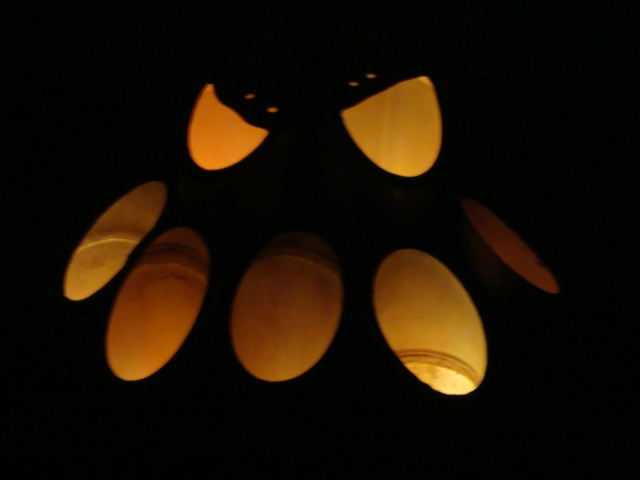 e0060041_1050323.jpg