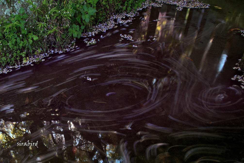 d0238245_9263115.jpg