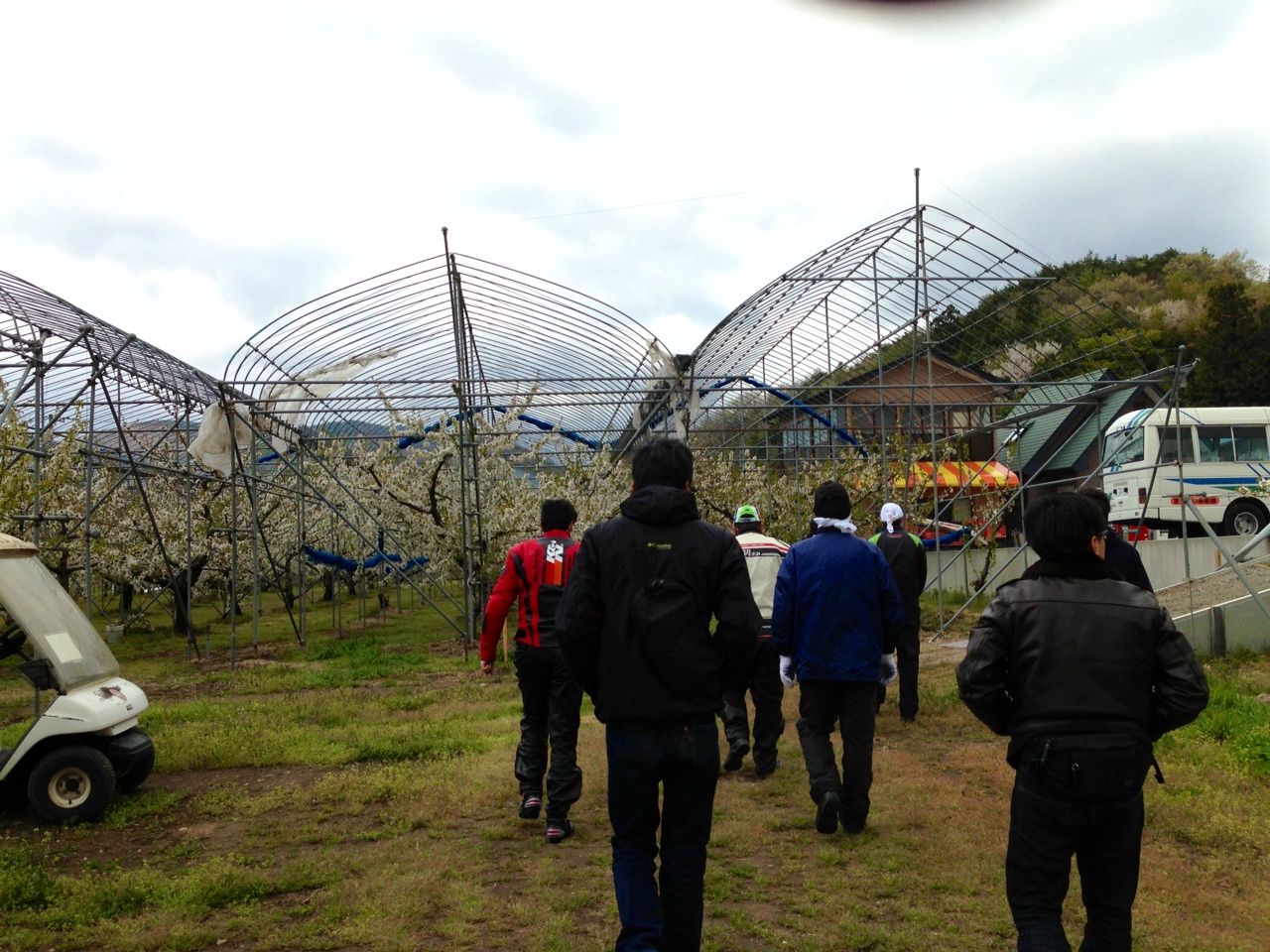 ミツバチはっち大集合 ライダーズピットまるせい果樹園_c0261447_2255392.jpg