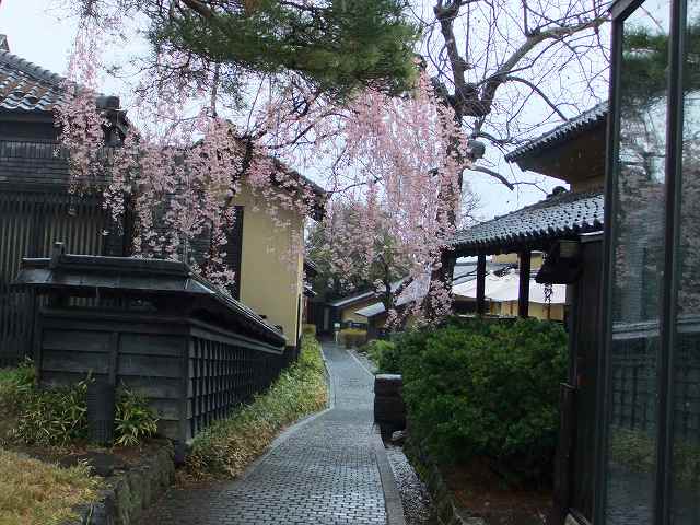 d0131847_12162261.jpg