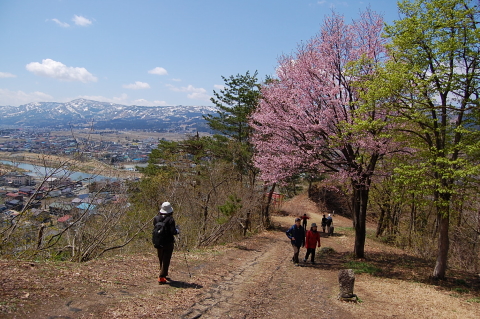 お山デビューは坂戸山から_b0189948_1861978.jpg