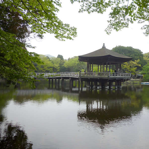 あるく奈良-7 [奈良公園・飛火野]_f0190950_12464010.jpg