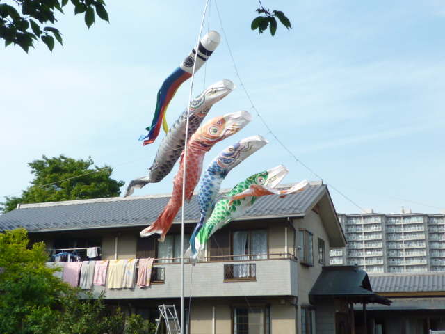 b0246953_1342525.jpg