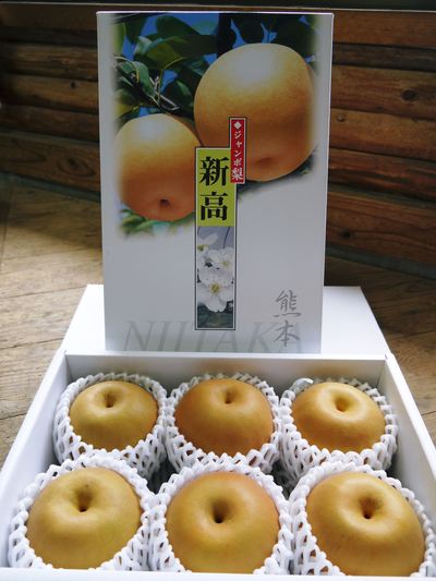 ミツバチの活躍と農作物_a0254656_21192583.jpg