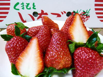 ミツバチの活躍と農作物_a0254656_214274.jpg