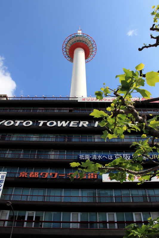 c0272958_2241160.jpg