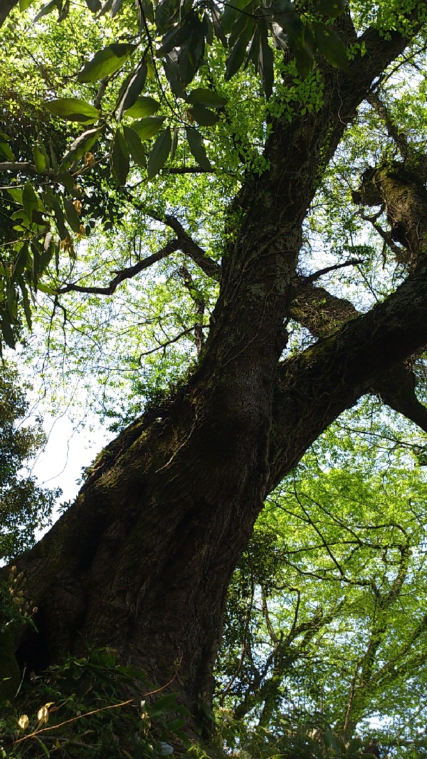 c0016259_21483098.jpg