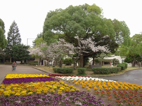 4月２日明石公園_d0076283_2321013.jpg