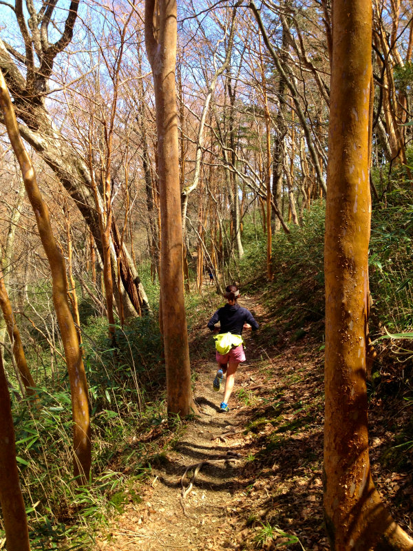2013/04/09-10 高知 天狗の森トレイルセッション_b0220886_20484597.jpg