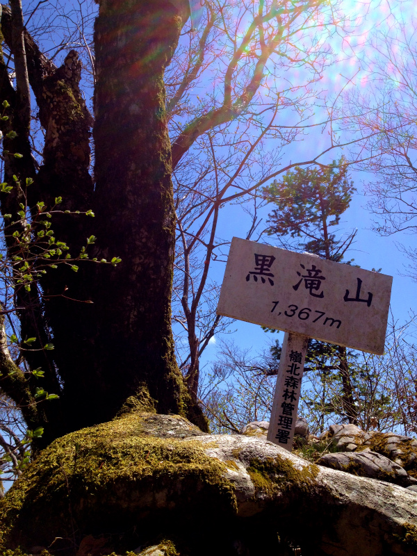 2013/04/09-10 高知 天狗の森トレイルセッション_b0220886_211355.jpg