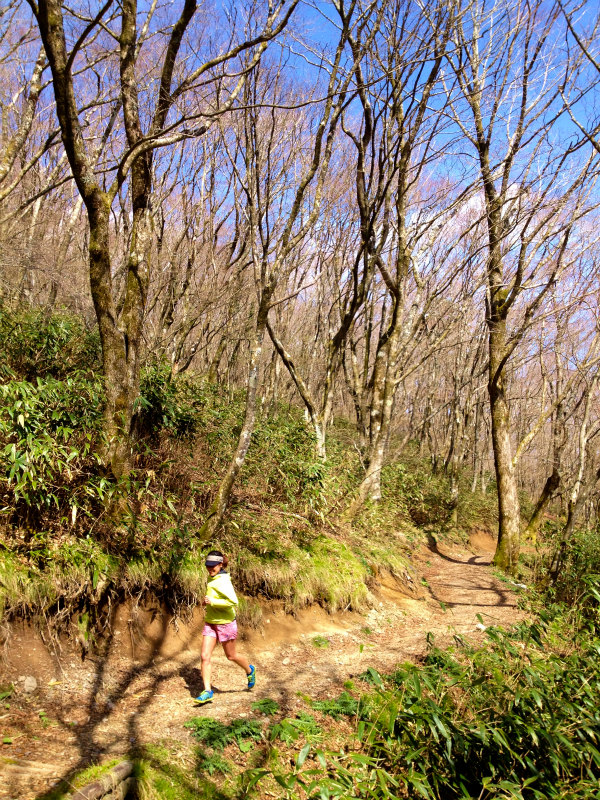 2013/04/09-10　高知　天狗の森トレイルセッション_b0220886_21223892.jpg