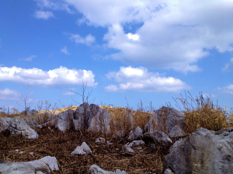 2013/04/09-10 高知 天狗の森トレイルセッション_b0220886_21243388.jpg