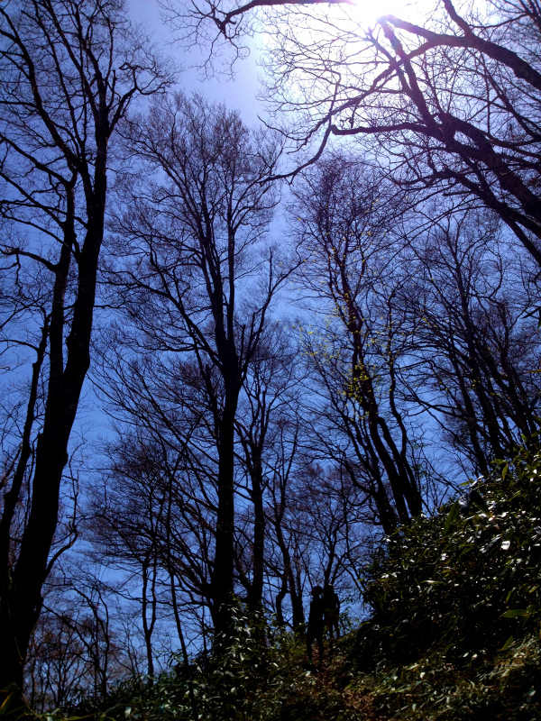 2013/04/09-10　高知　天狗の森トレイルセッション_b0220886_2141470.jpg