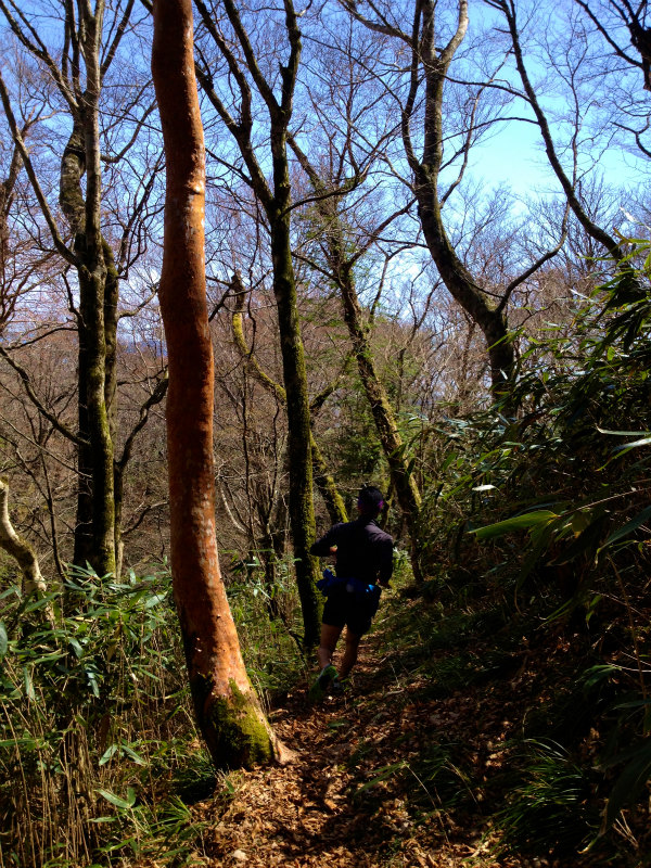 2013/04/09-10 高知 天狗の森トレイルセッション_b0220886_2143197.jpg