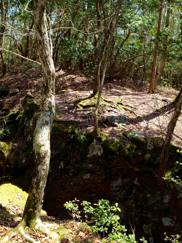 2013/04/09-10　高知　天狗の森トレイルセッション_b0220886_217116.jpg