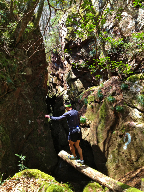 2013/04/09-10　高知　天狗の森トレイルセッション_b0220886_217149.jpg