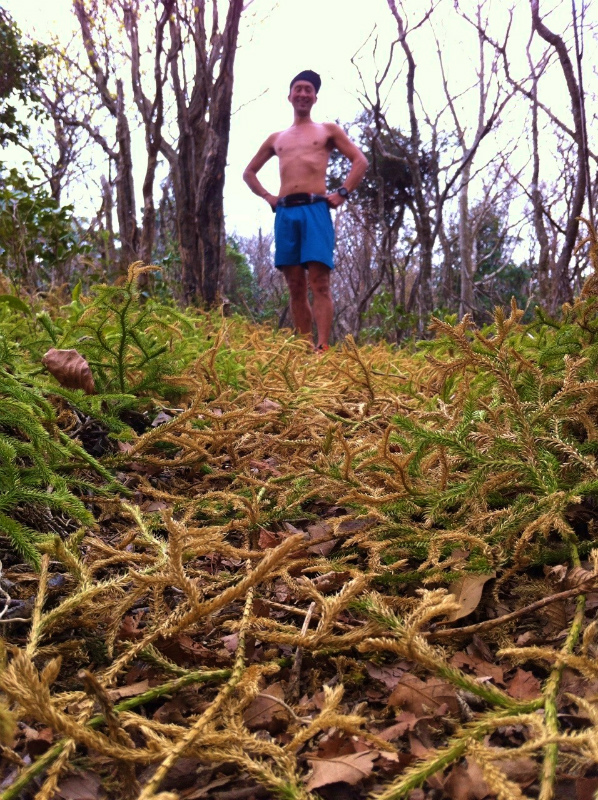 2013/04/17 鬼ヶ牙ー臼杵岳トレイルセッション_b0220886_23555581.jpg