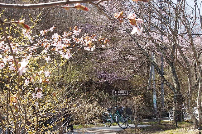 f0014187_22392066.jpg