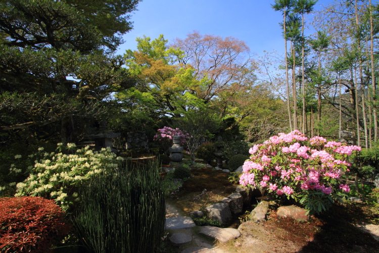 実光院_e0051888_3304055.jpg