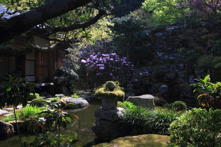 実光院_e0051888_3321471.jpg