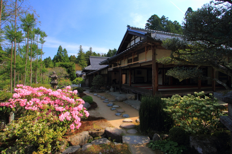 実光院_e0051888_3323592.jpg
