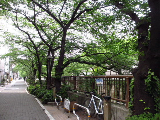f0110488_14491142.gif