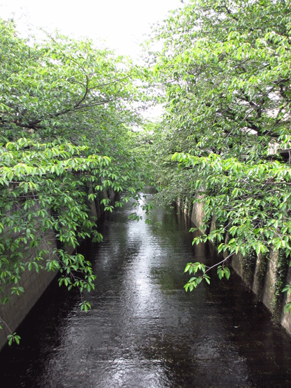 f0110488_14495547.gif