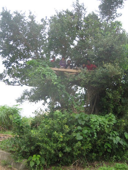 f0257789_2075698.jpg