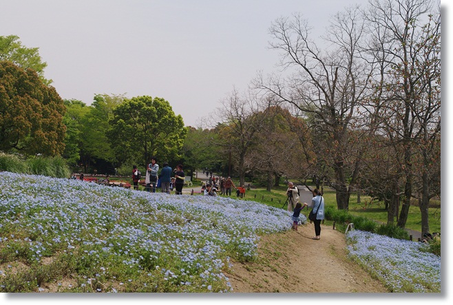 新緑の奥多摩と花らんまんの昭和記念公園_d0028304_21204396.jpg