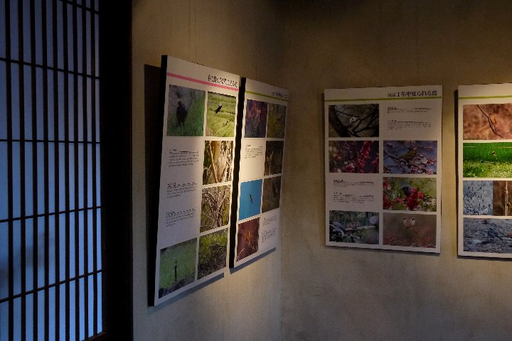 a0268412_122119.jpg