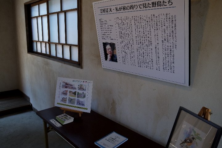 a0268412_12566.jpg