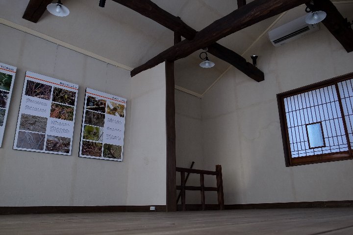 a0268412_12988.jpg