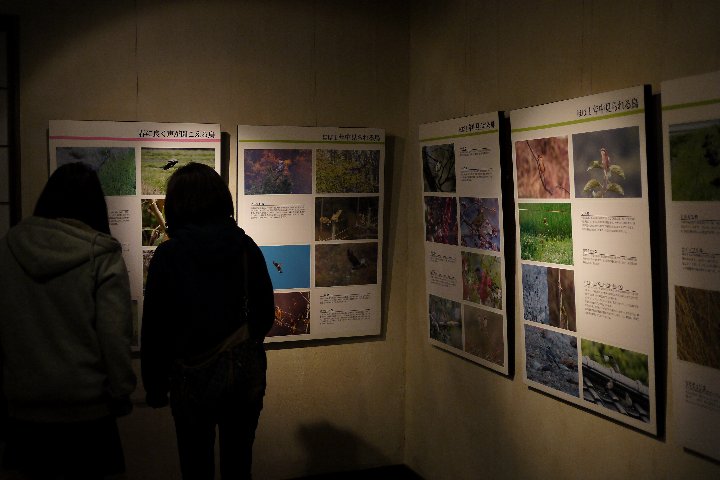 a0268412_18870.jpg