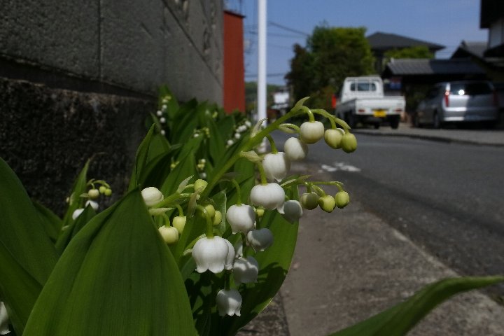 a0268412_2323392.jpg