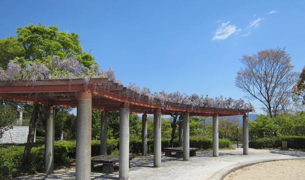 初夏緑陰　　　　夏山蒼翠而如滴　 _e0065412_7102598.jpg