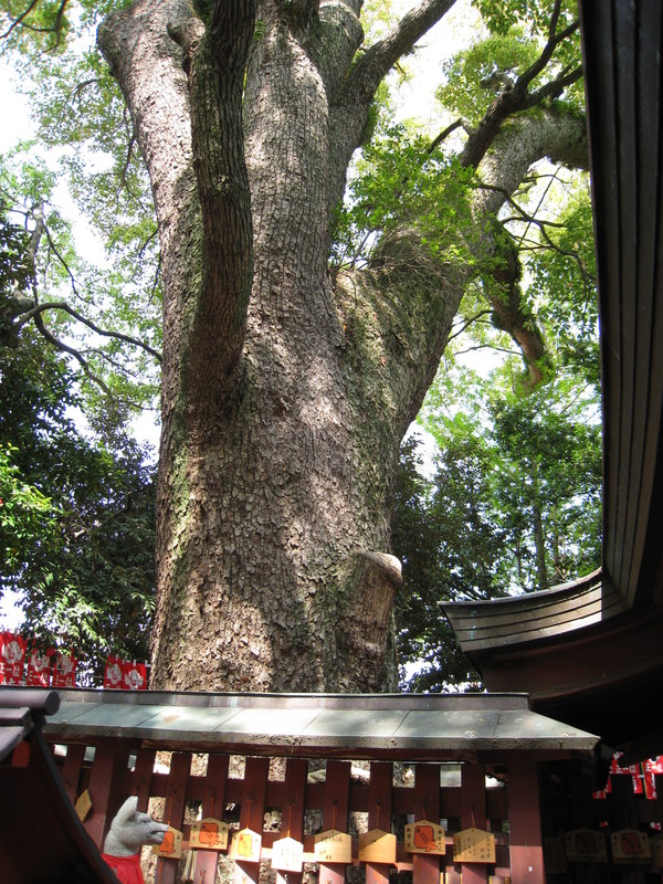 d0287413_9385276.jpg
