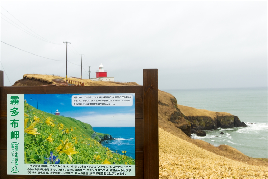 ハナミズキ撮影ロケ地巡り【湯沸岬灯台編】_e0192715_19285437.jpg