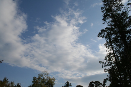 今週の空と雲（２０１３年４月２７日）_a0216817_20334622.jpg