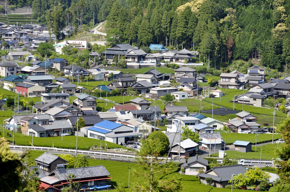 お茶の里を駆ける_d0072720_1813167.jpg