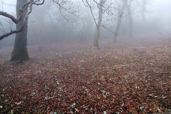 f0225521_6363698.jpg