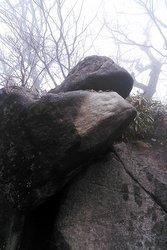 f0225521_6373214.jpg