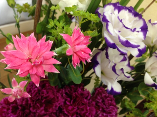 今週のお花とセール情報_a0200423_10311737.jpg