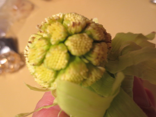 e0131324_22472330.jpg